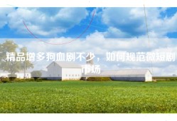 精品增多狗血剧不少，如何规范微短剧市场