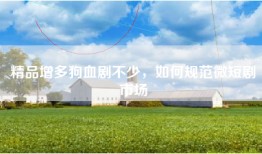 精品增多狗血剧不少，如何规范微短剧市场