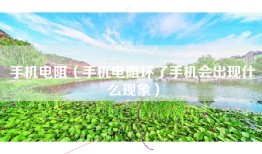 手机电阻（手机电阻坏了手机会出现什么现象）