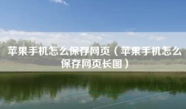 苹果手机怎么保存网页（苹果手机怎么保存网页长图）
