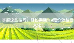 掌握这些技巧，轻松实现SEM竞价效益最大化！
