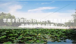 苹果手机微信语音延迟（苹果手机微信语音延迟怎么回事）