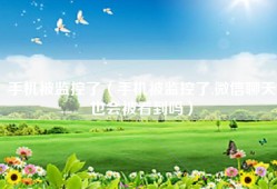 手机被监控了（手机被监控了,微信聊天也会被看到吗）