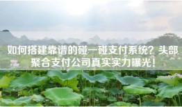 如何搭建靠谱的碰一碰支付系统？头部聚合支付公司真实实力曝光！