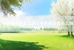 手机的字体怎么改（手机的字体怎么改过来）