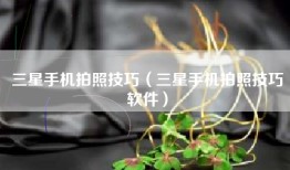 三星手机拍照技巧（三星手机拍照技巧软件）