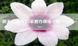 明天已经约了3家要办理碰一碰……………