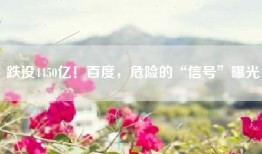 跌没4450亿！百度，危险的“信号”曝光