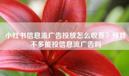 小红书信息流广告投放怎么收费？预算不多能投信息流广告吗