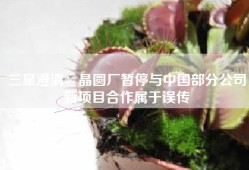 三星澄清：晶圆厂暂停与中国部分公司新项目合作属于误传