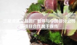 三星澄清：晶圆厂暂停与中国部分公司新项目合作属于误传