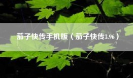 茄子快传手机版（茄子快传3.96）
