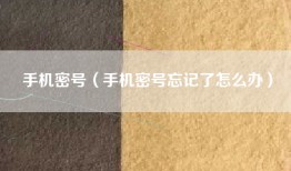 手机密号（手机密号忘记了怎么办）