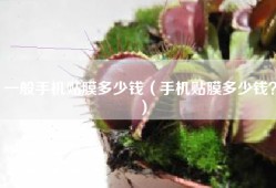 一般手机贴膜多少钱（手机贴膜多少钱？）