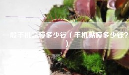 一般手机贴膜多少钱（手机贴膜多少钱？）