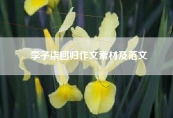 李子柒回归作文素材及范文
