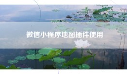 微信小程序地图插件使用