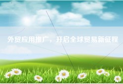 外贸应用推广，开启全球贸易新征程