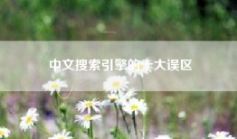 中文搜索引擎的十大误区