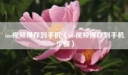 ins视频保存到手机（ins视频保存到手机步骤）