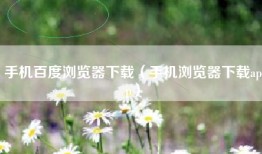 手机百度浏览器下载（手机浏览器下载app）