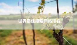 世界最佳搜索网站排名