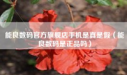 能良数码官方旗舰店手机是真是假（能良数码是正品吗）