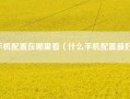 手机配置在哪里看（什么手机配置最好）