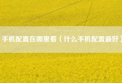 手机配置在哪里看（什么手机配置最好）