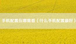 手机配置在哪里看（什么手机配置最好）