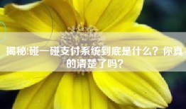 揭秘!碰一碰支付系统到底是什么？你真的清楚了吗？