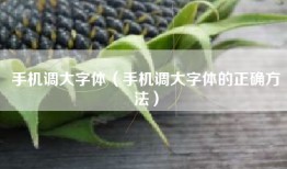 手机调大字体（手机调大字体的正确方法）