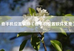 查手机位置软件（查手机位置软件免费）