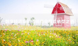 数字经济驱动传统商业模式转型之道