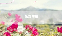 偷窥手机