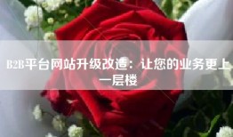 B2B平台网站升级改造：让您的业务更上一层楼