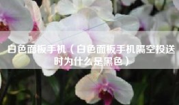 白色面板手机（白色面板手机隔空投送时为什么是黑色）