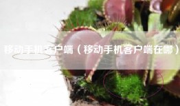 移动手机客户端（移动手机客户端在哪）