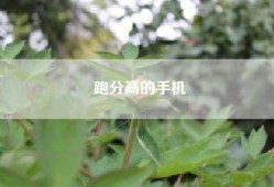 跑分高的手机