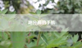 跑分高的手机