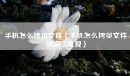 手机怎么拷贝文件（手机怎么拷贝文件到海信电视）