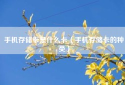 手机存储卡是什么卡（手机存储卡的种类）