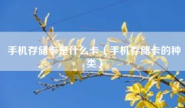 手机存储卡是什么卡（手机存储卡的种类）