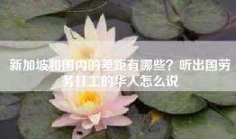 新加坡和国内的差距有哪些？听出国劳务打工的华人怎么说