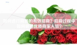 如何进行商场的有效招商？招商过程中如何吸引优质商家入驻？