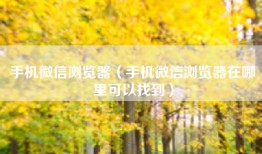 手机微信浏览器（手机微信浏览器在哪里可以找到）