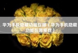 华为手机隐藏功能在哪（华为手机隐藏功能在哪里找）