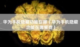 华为手机隐藏功能在哪（华为手机隐藏功能在哪里找）