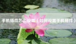 手机插件怎么设置（如何设置手机插件）