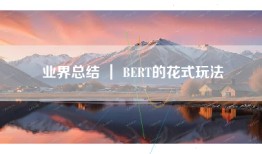 业界总结 ｜ BERT的花式玩法